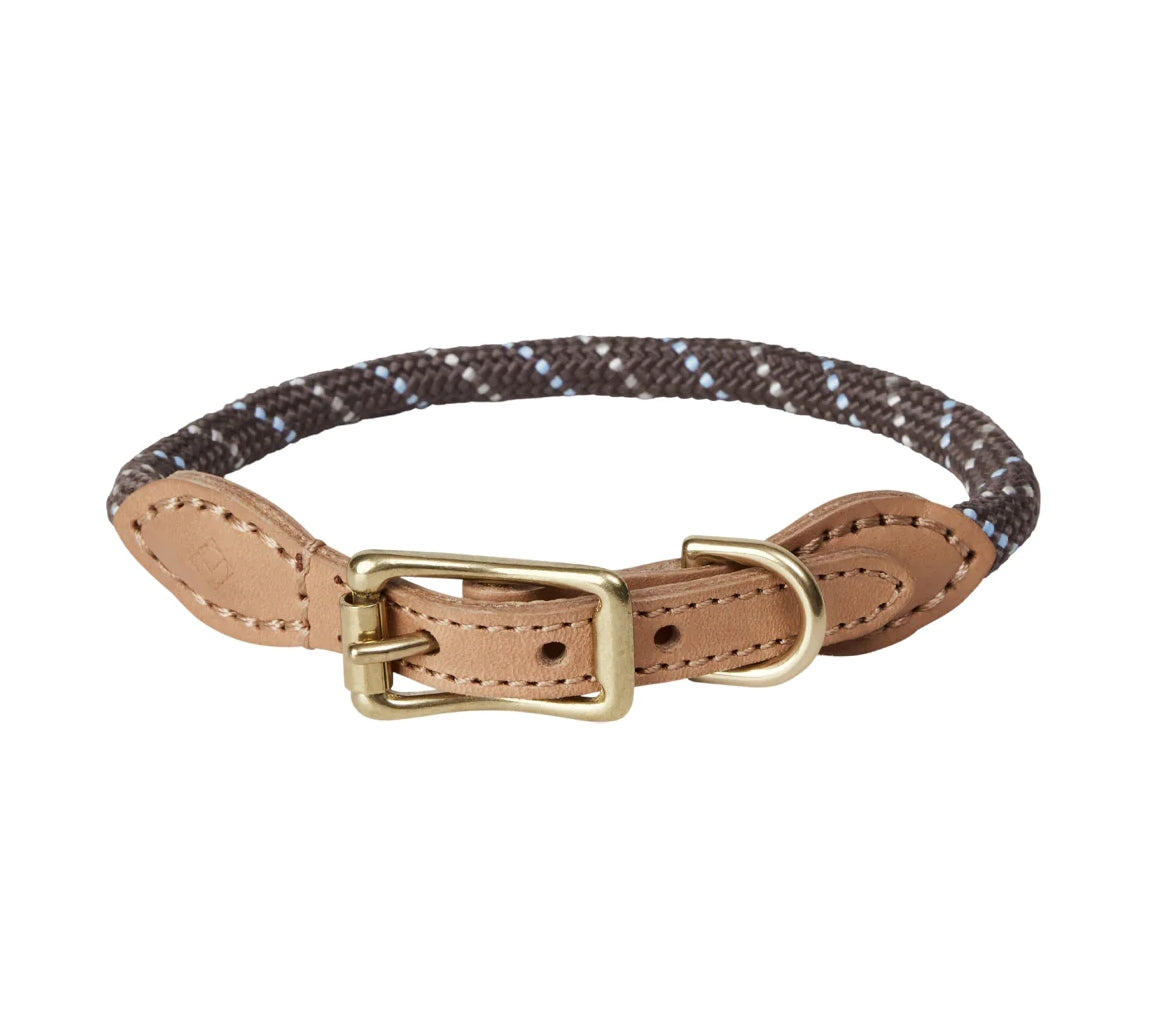 Perry Dog Collar Medium