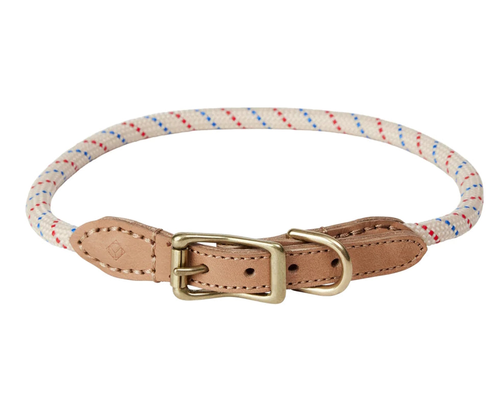 Perry Dog Collar Extra Large