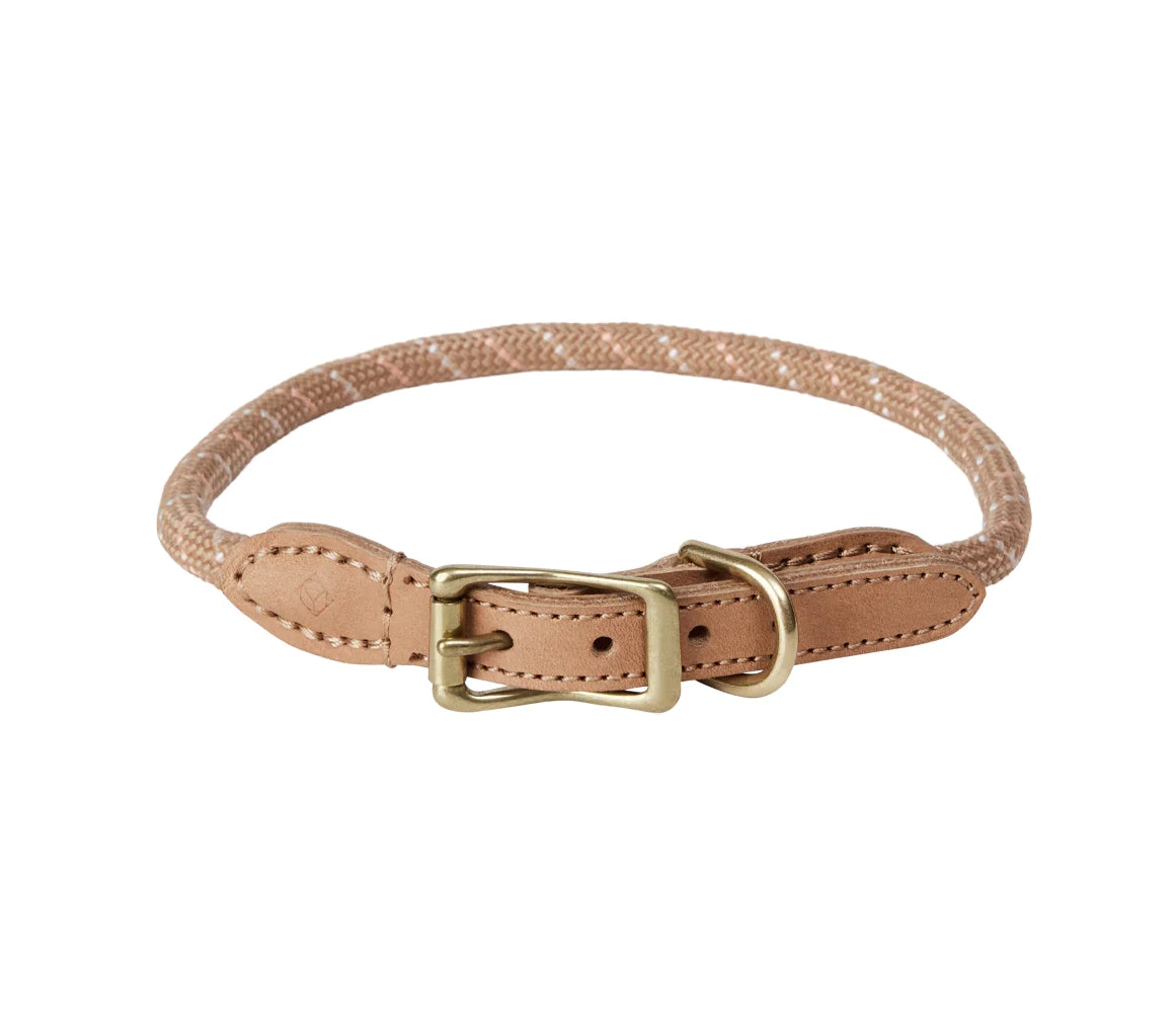 Perry Dog Collar Small