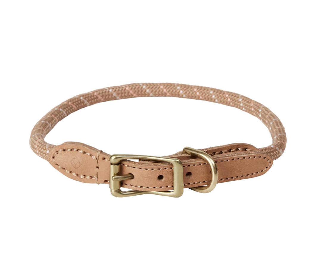 Perry Dog Collar Medium