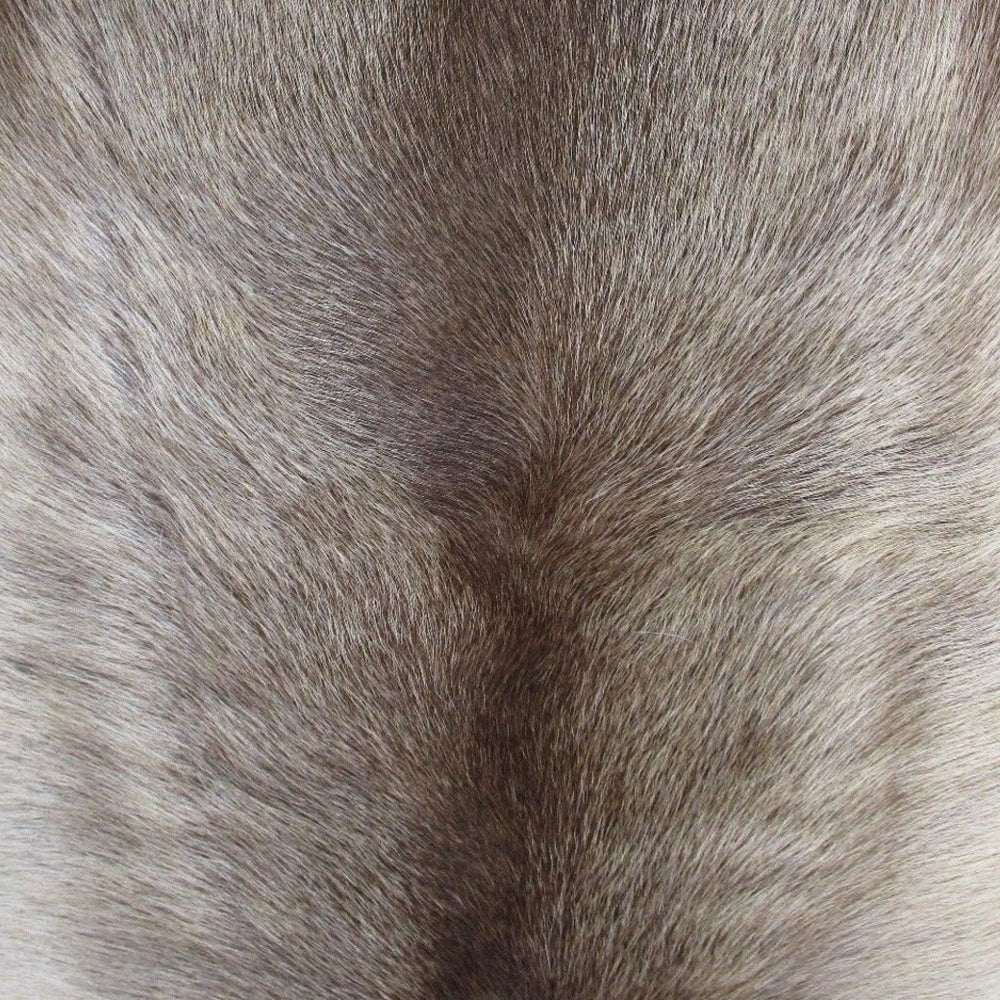 Reindeer Hide medium