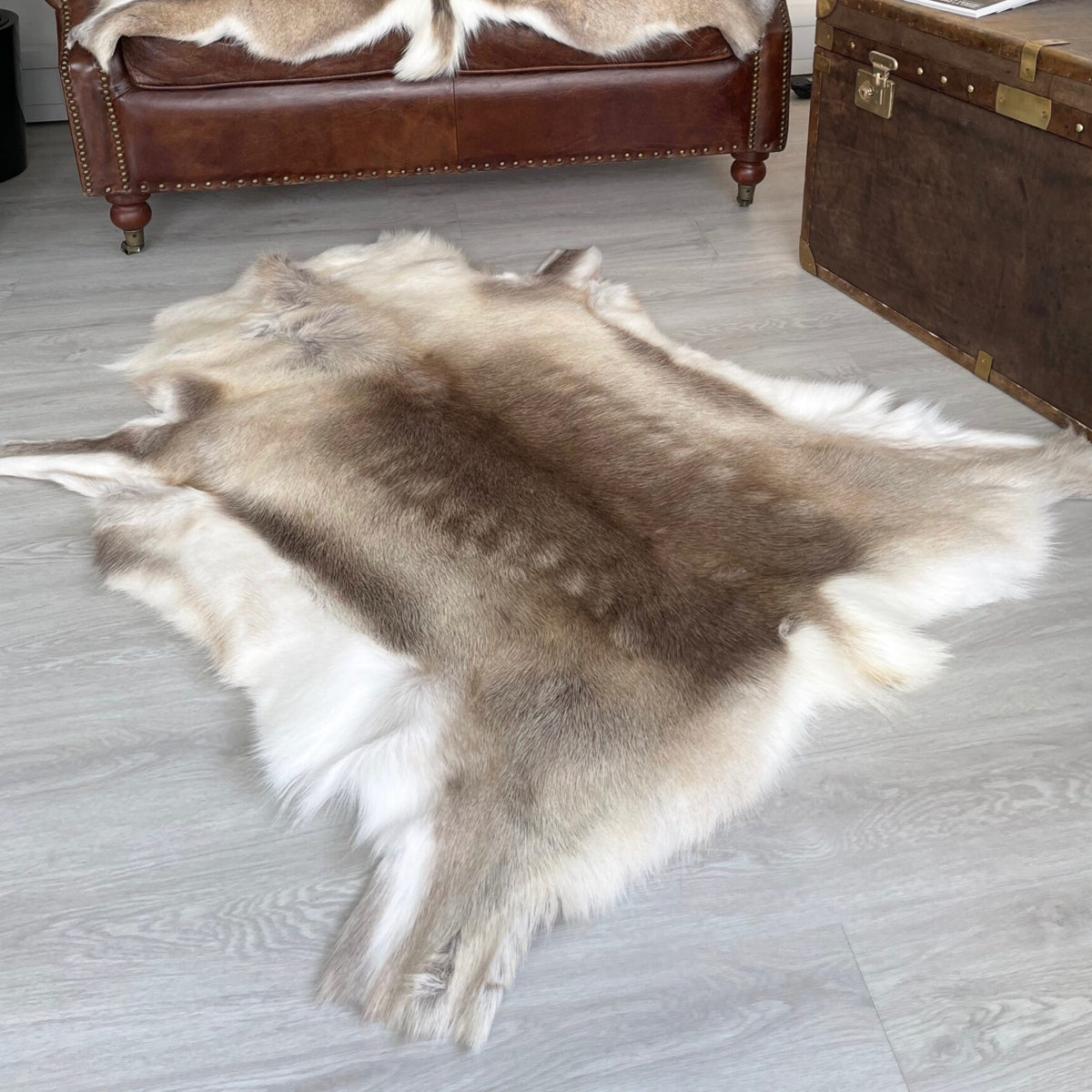 Reindeer Hide medium