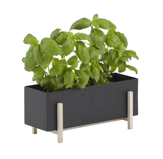 Design House Stockholm Botanic Box Metal-Ash Planter