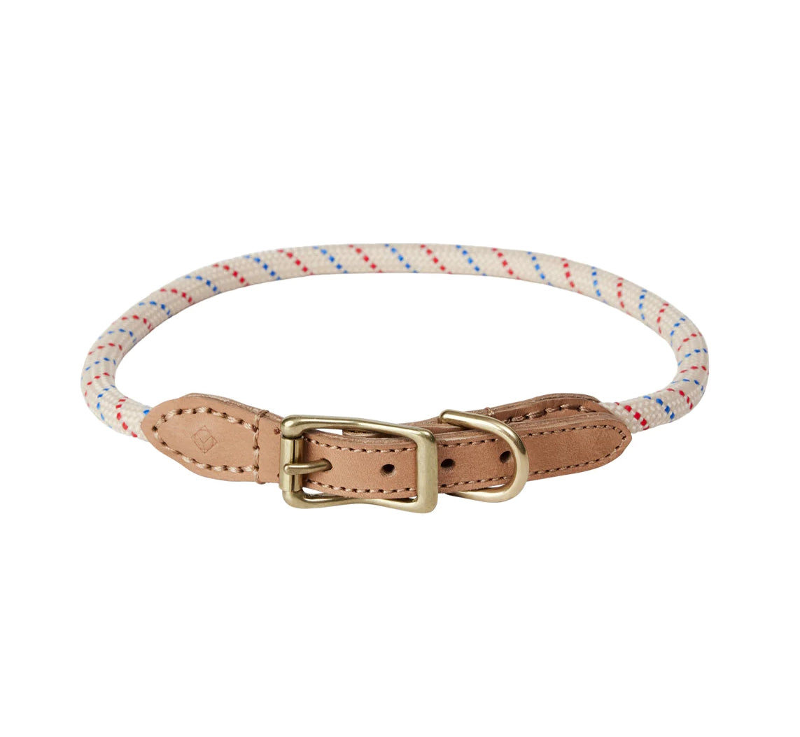 Perry Dog Collar Small