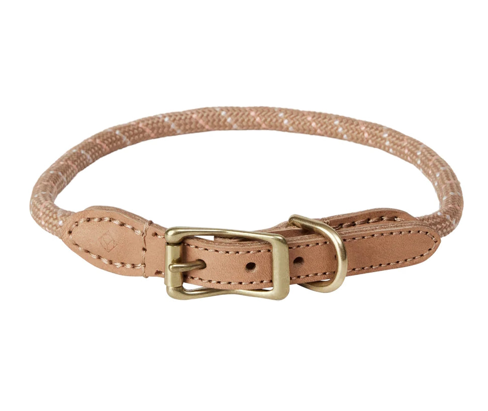 Perry Dog Collar Extra Large